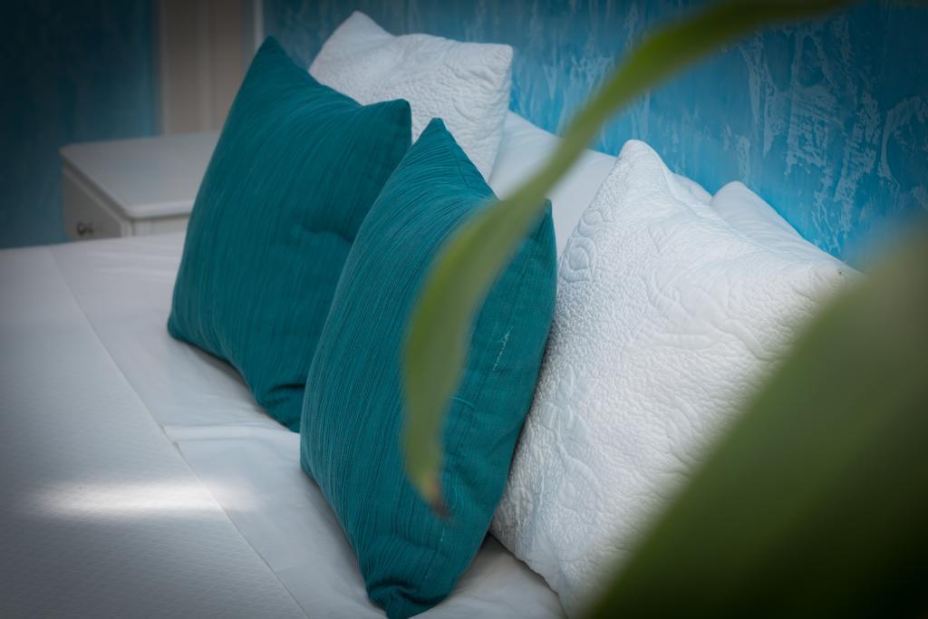 Guest house Palacio