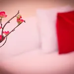 Hostal Palacio Madrid